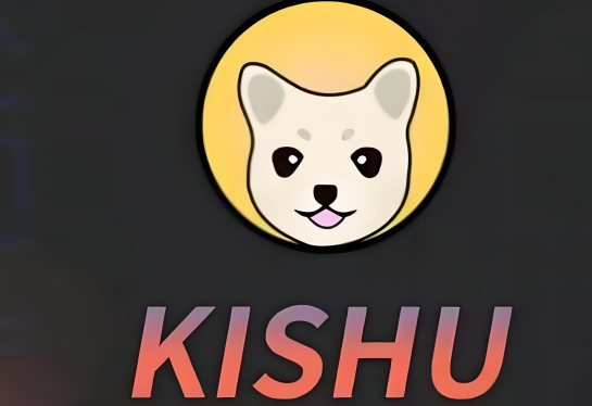 KISHU币未来有潜力吗 KISHU前景分析