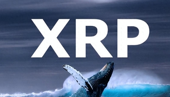 XRP ETF有可能获批吗？XRP ETF前景预测？